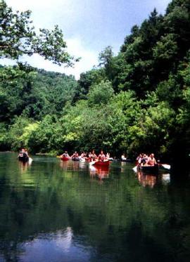 Paddling though paradise