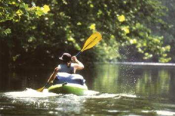 Paddling though paradise